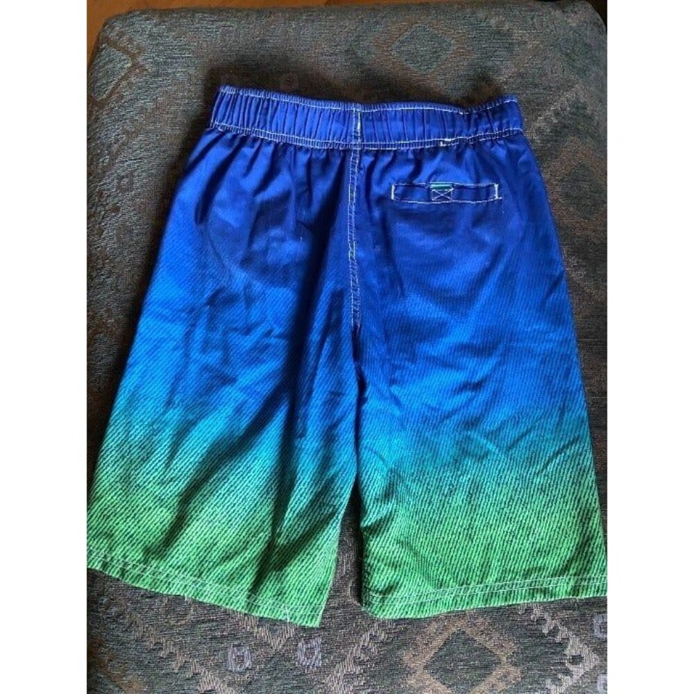 Boys Blue and Green Swim Trunks - Picture 3 of 4